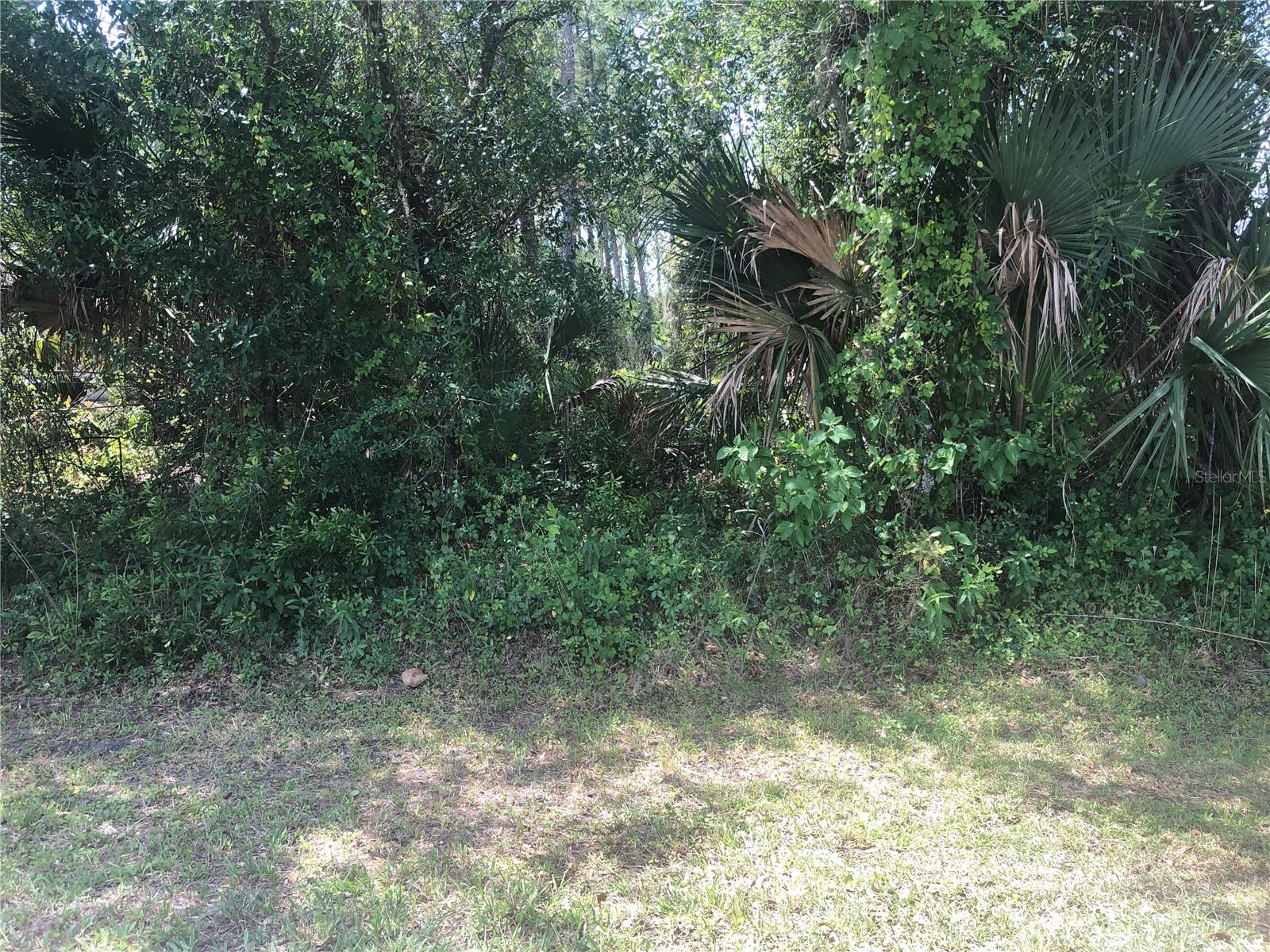 Charland Ave, North Port, FL 34291 · MLS# C7525683 — photo 1 of 1