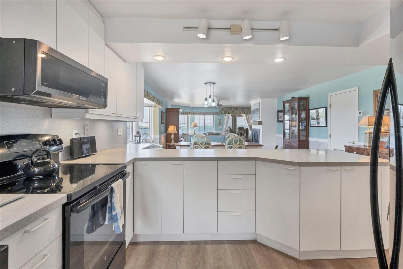 Kitchen and peninsula