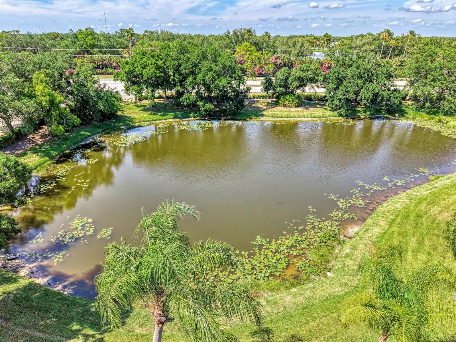 900 Addington Ct #203, Venice, FL 34293 — photo 55 of 70