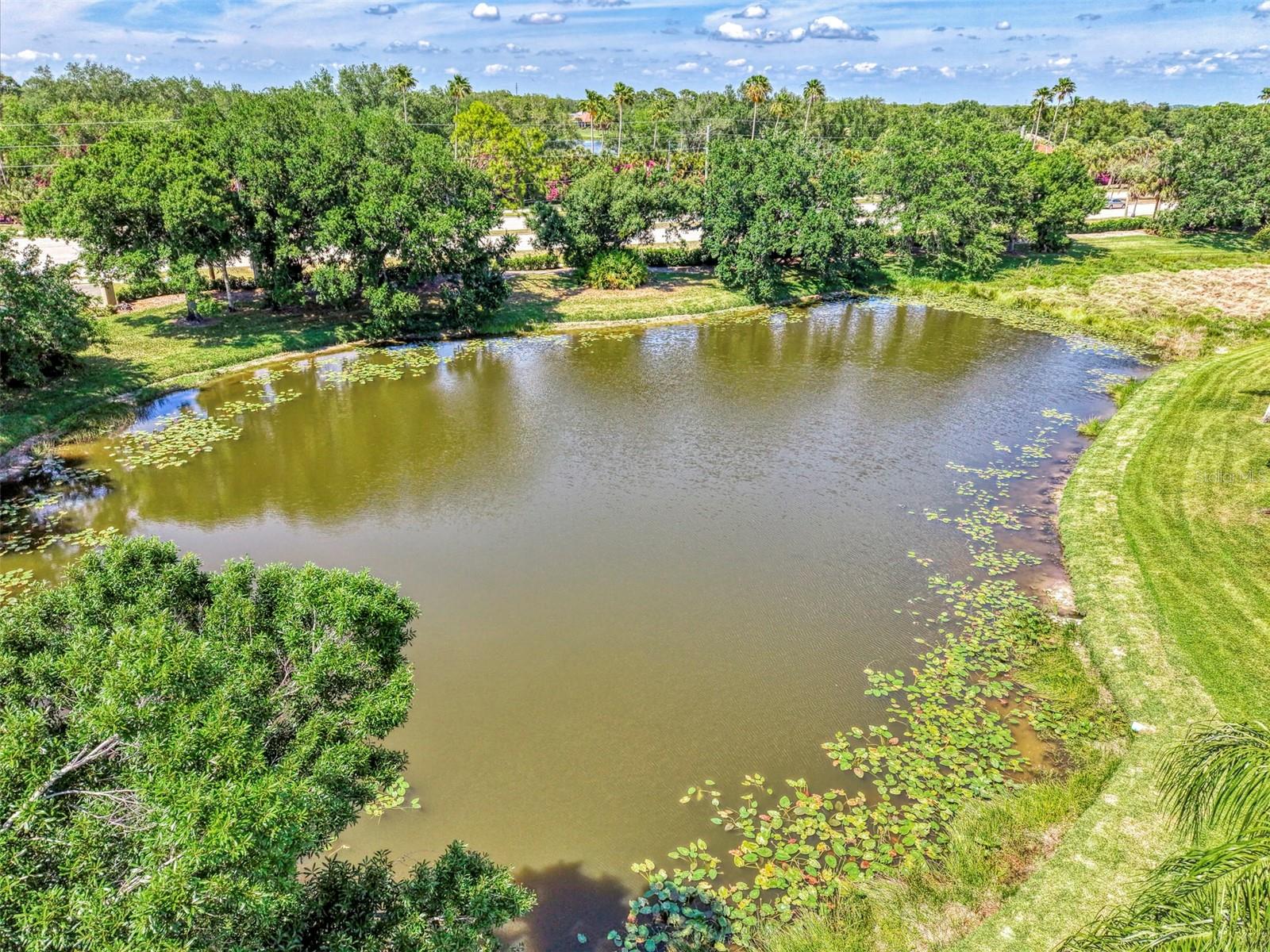 900 Addington Ct #203, Venice, FL 34293 — photo 56 of 70