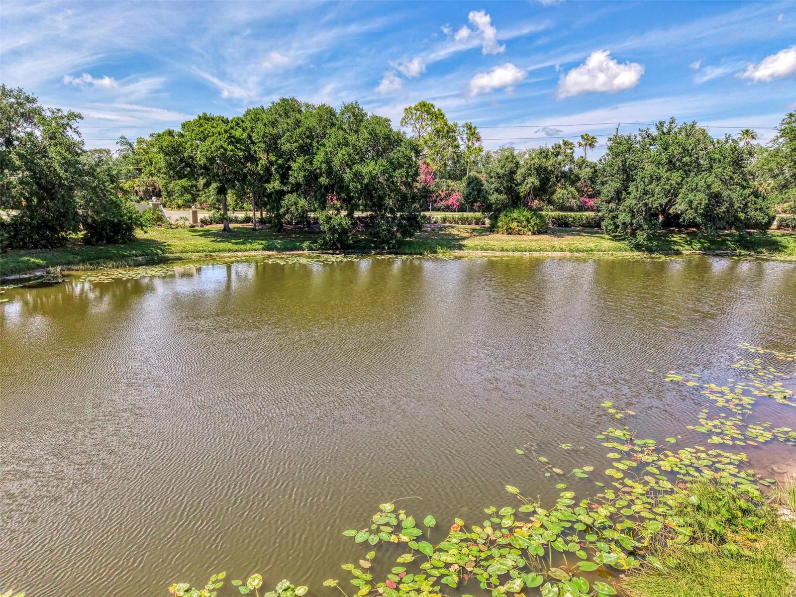 900 Addington Ct #203, Venice, FL 34293 — photo 62 of 70