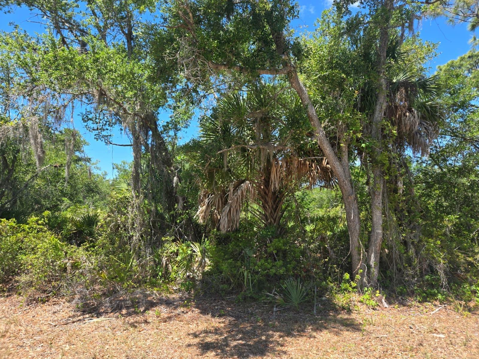 3137 Calexico St, Port Charlotte, FL 33948 — photo 1 of 1