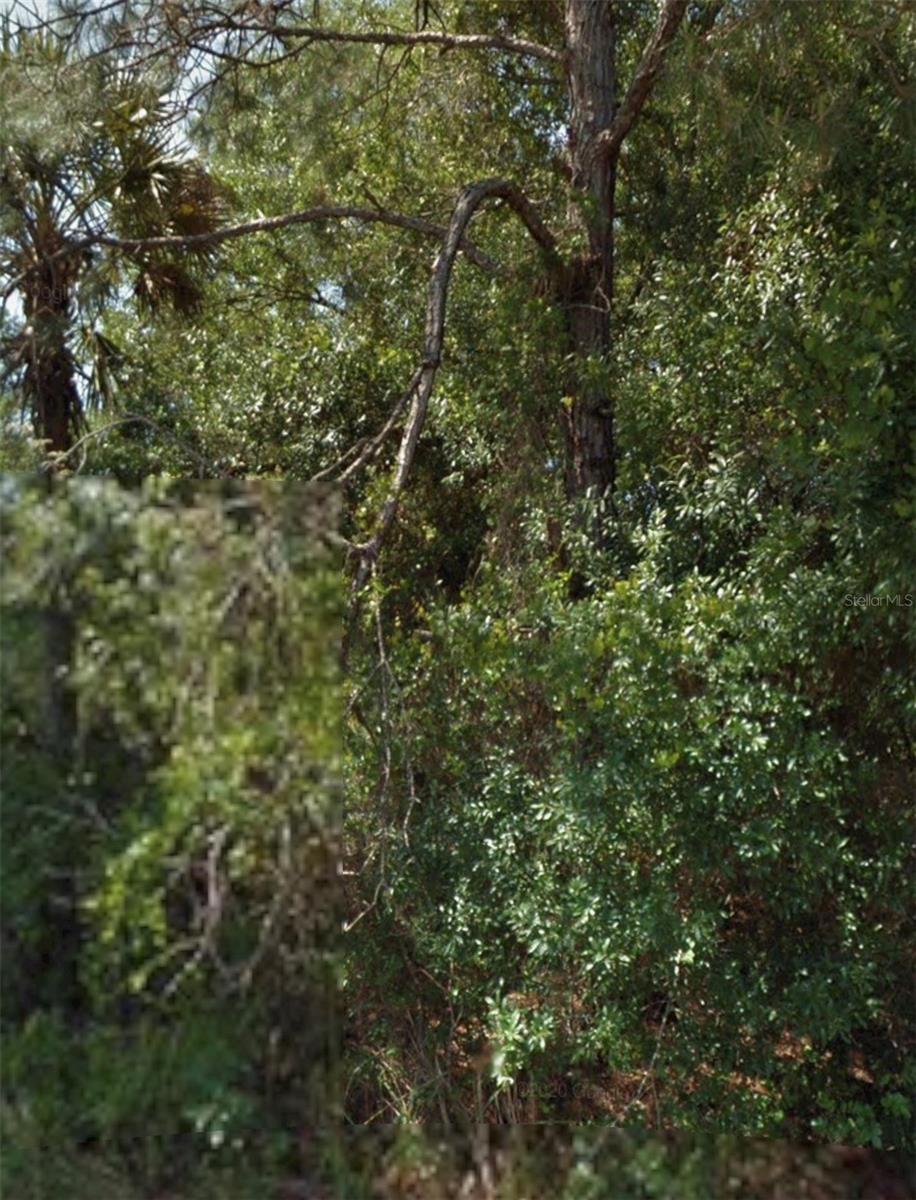 Ohio Rd, North Port, FL 34291 · MLS# A4692583 — photo 1 of 1