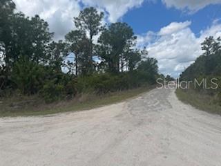 29459 Clara Dr, Punta Gorda, FL 33982 — photo 1 of 1