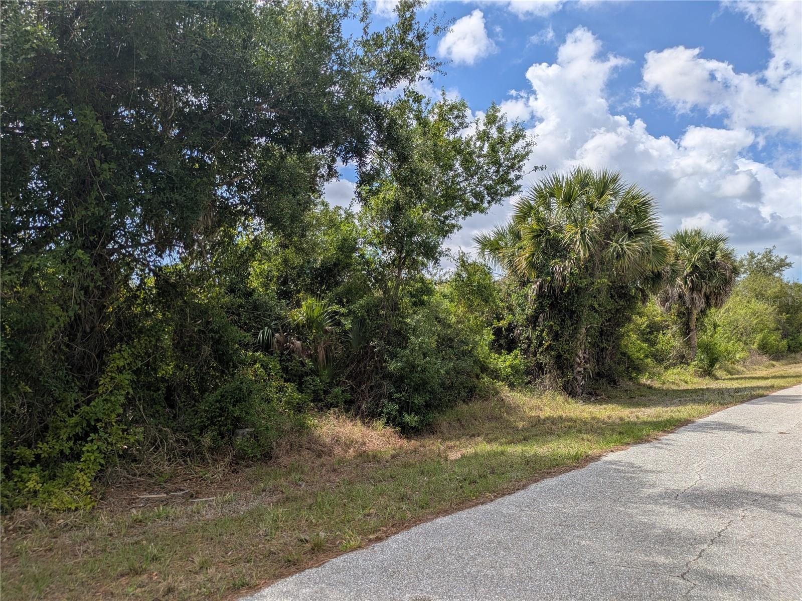 7396 Widmer St, Port Charlotte, FL 33981 — photo 1 of 1