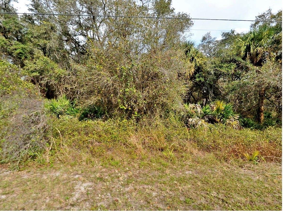 Fling Ave., North Port, FL 34291 · MLS# A4692868 — photo 1 of 1