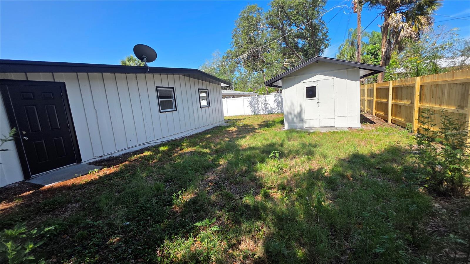 Back Yard - Shed