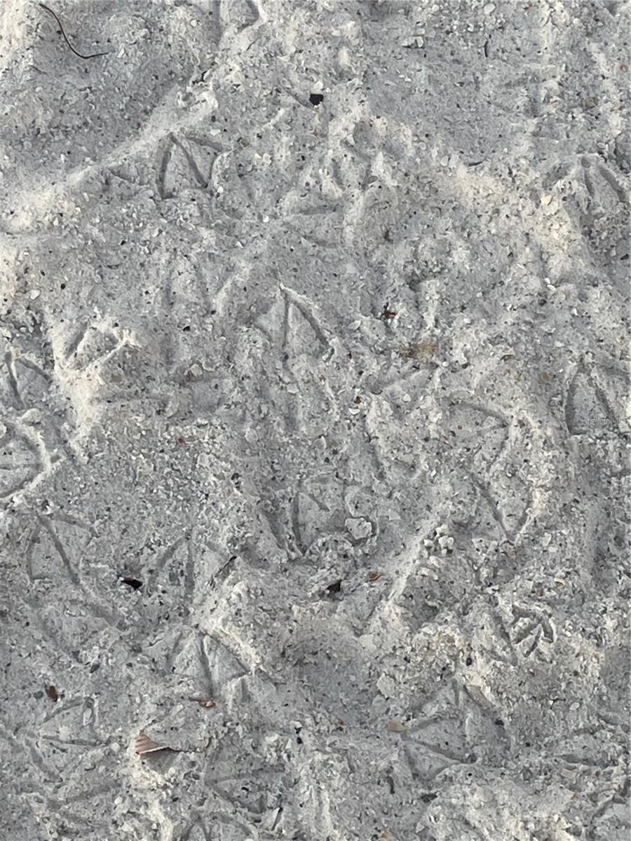 Footprints