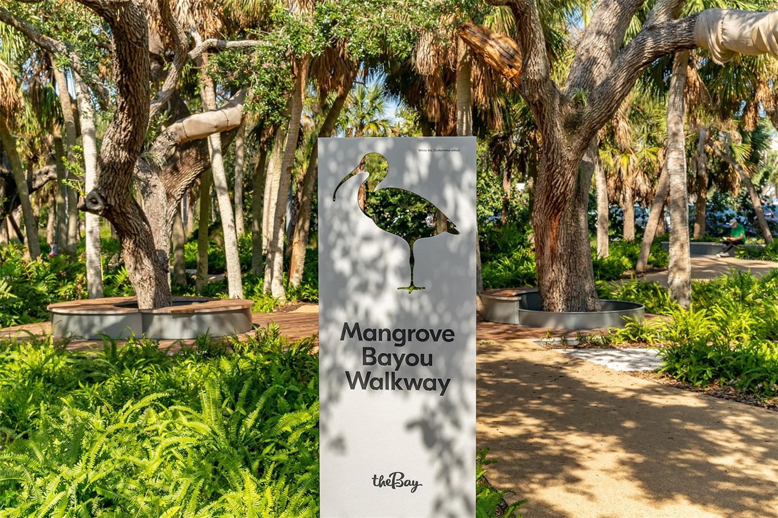 The Sarasota Bay Park offers cool walking trails through the trees on the way to the Sarasota Bay Park's surroundings and the Van Wezel performing arts hall.
