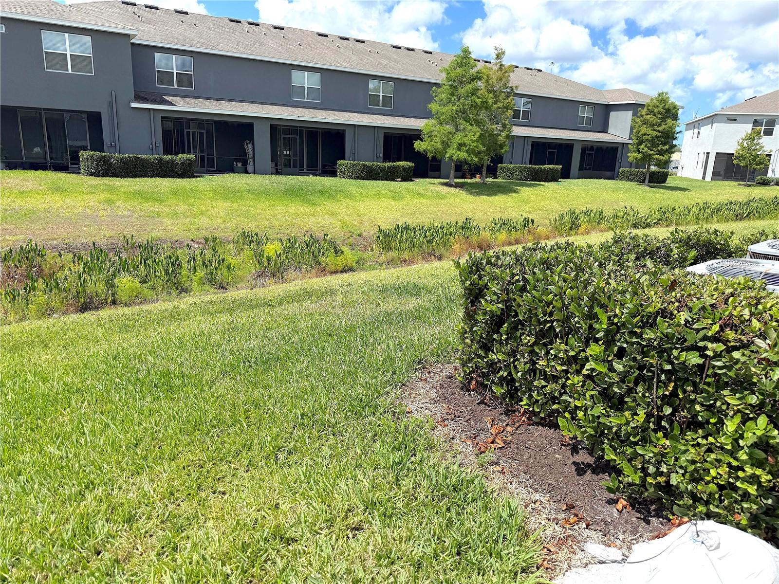 Back Yard Area