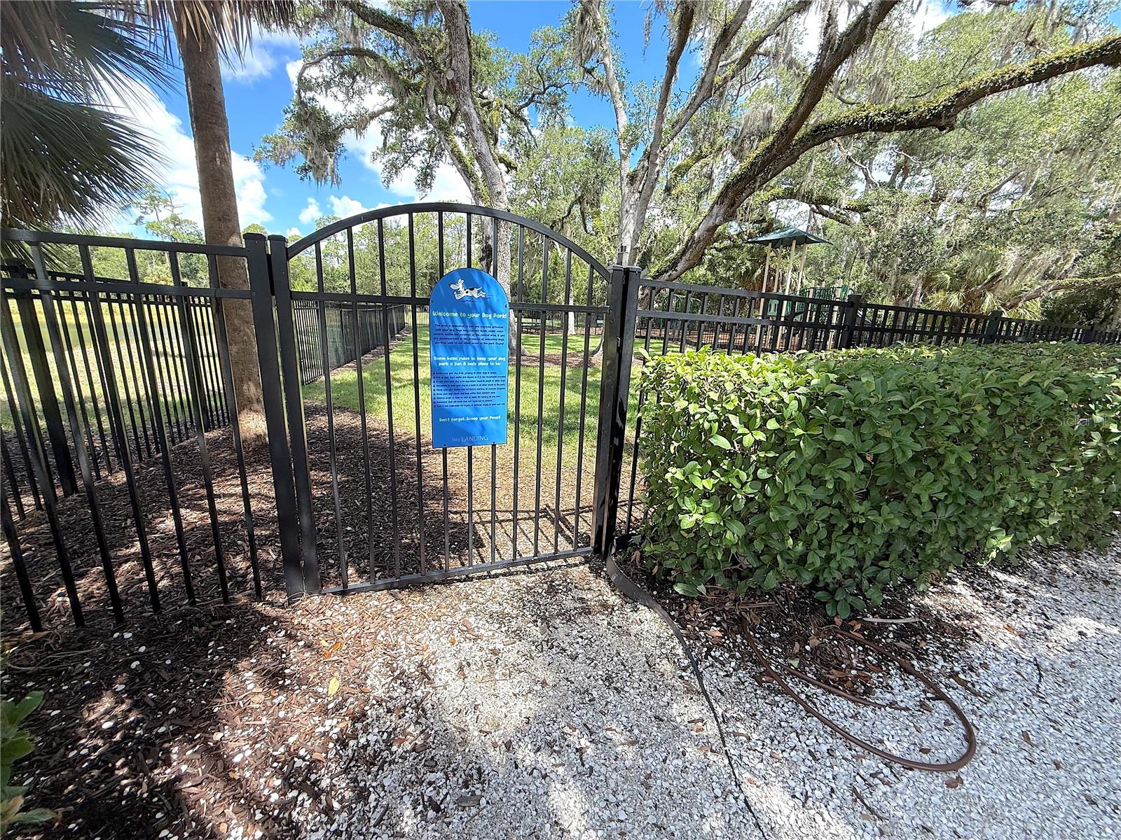 Community Dog Park