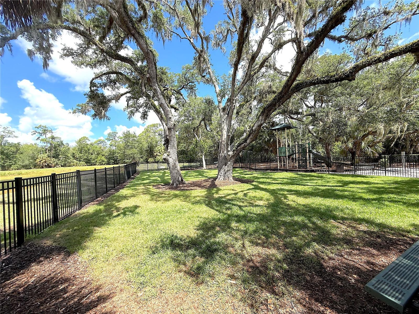 Community Dog Park