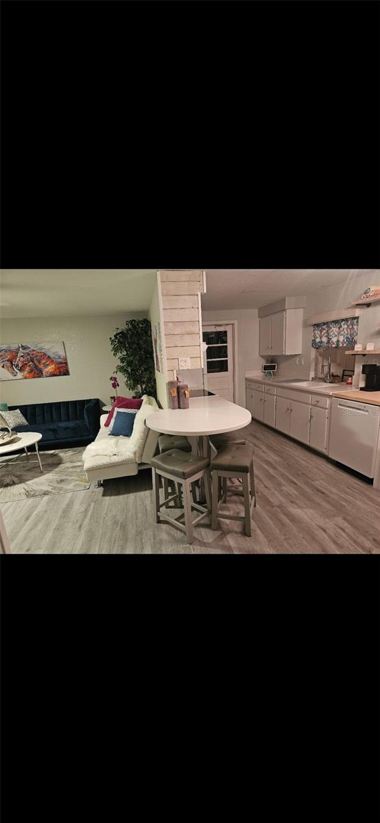 Kitchen/Living Area