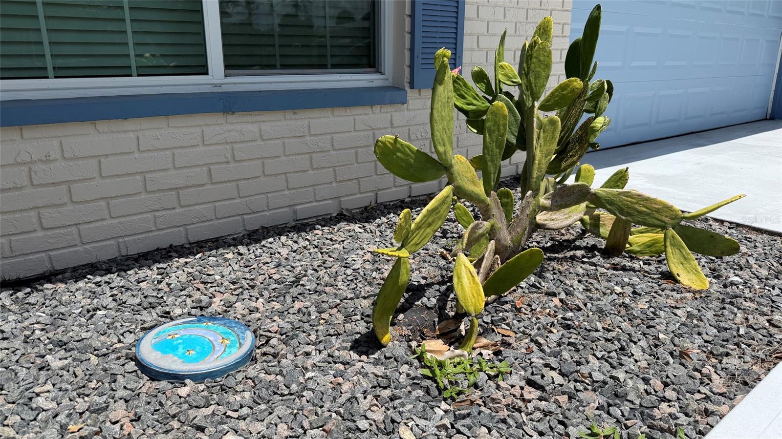 Low Maintenance Yard!