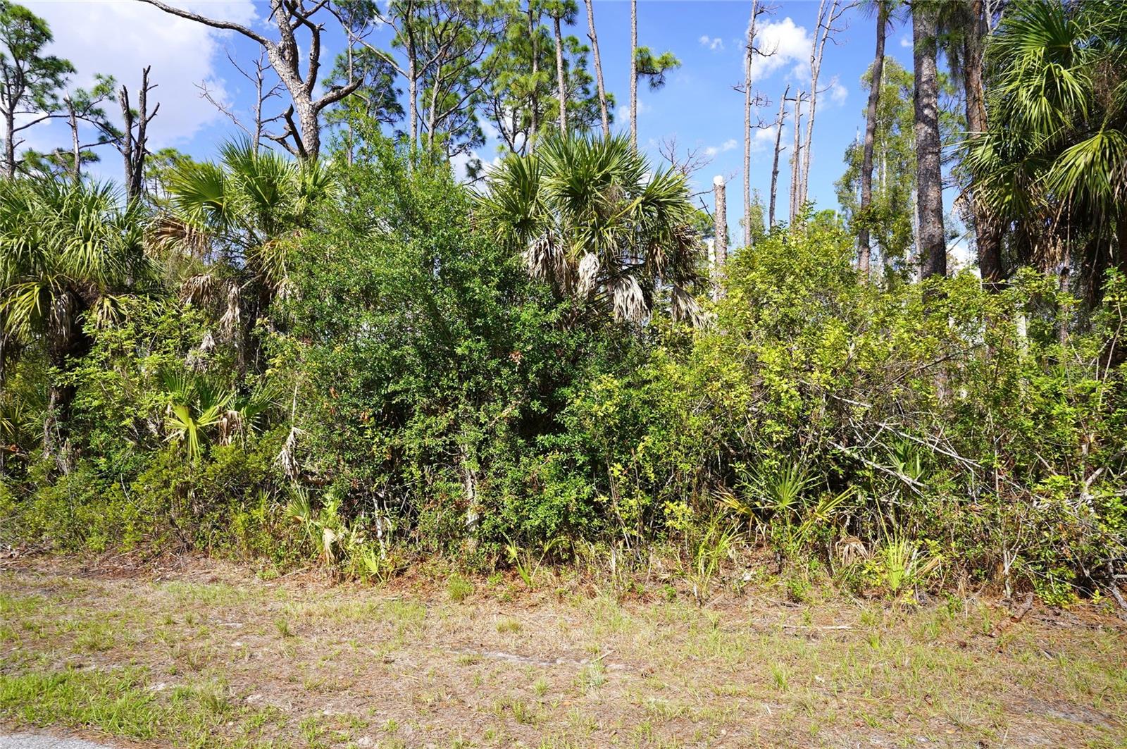 510 Dailey St, Port Charlotte, FL 33953 — photo 1 of 1