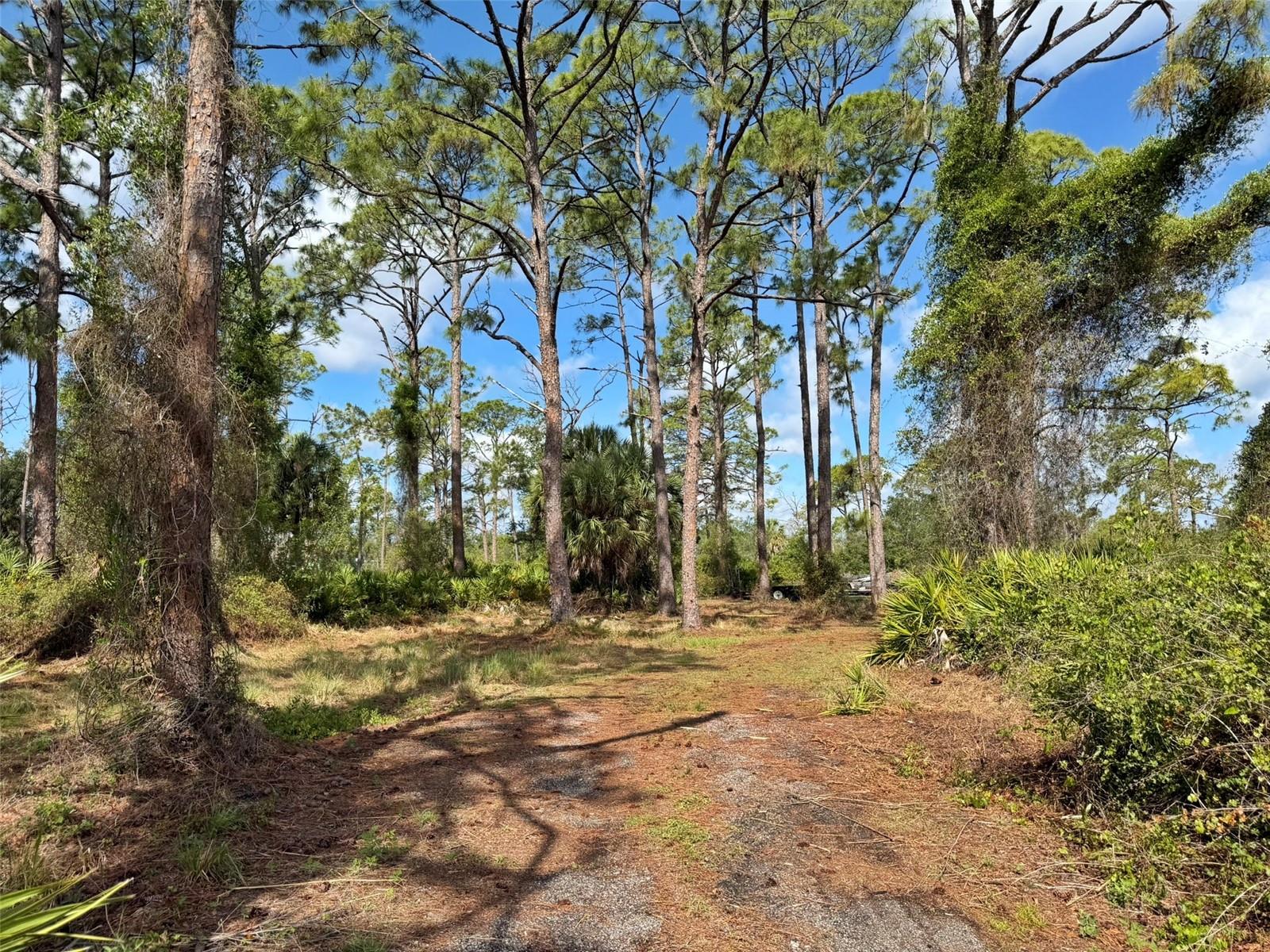 1213 Casper St, Port Charlotte, FL 33953 — photo 70 of 81