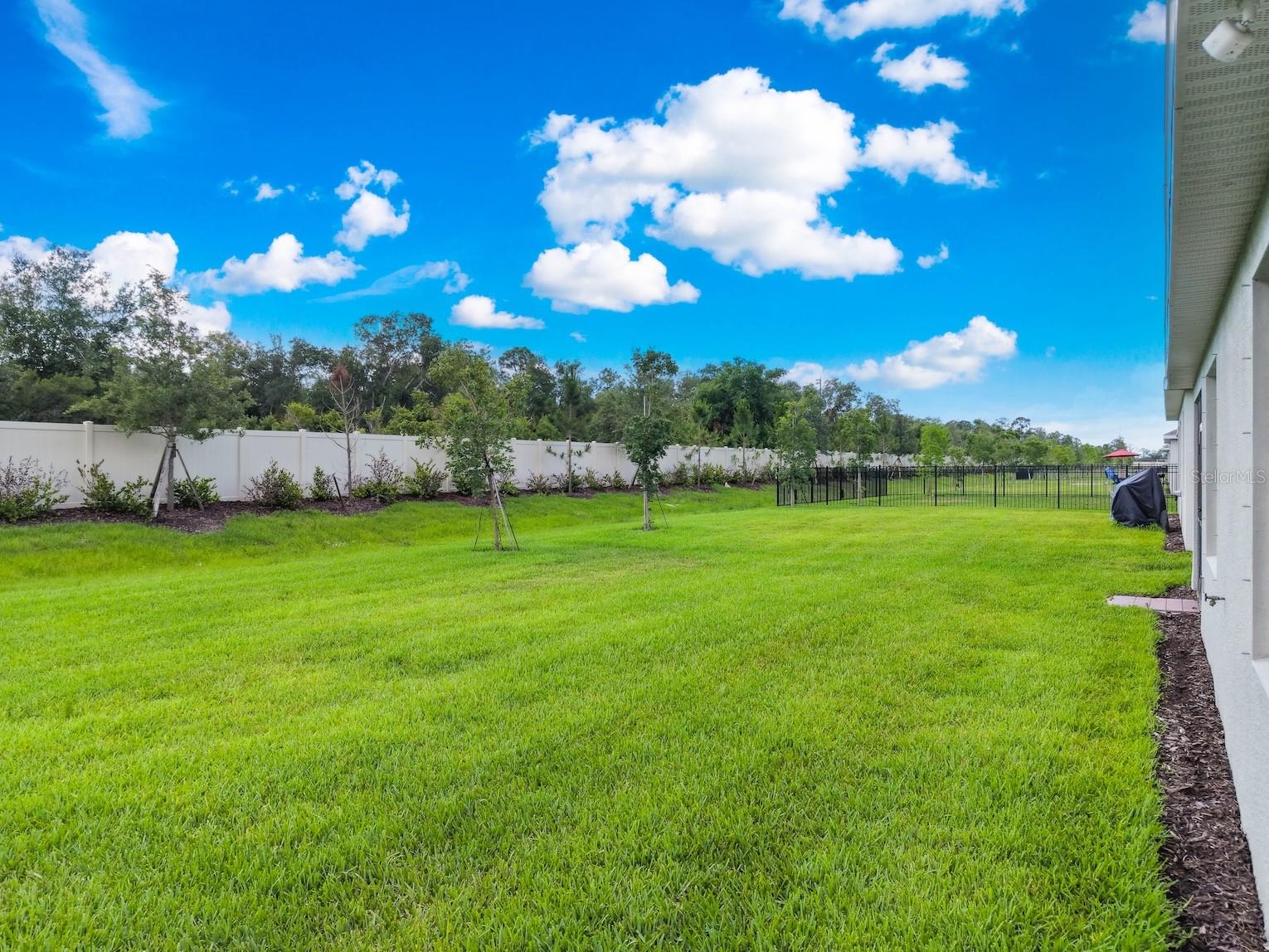 Large backyard with tropical views of Centennial park.