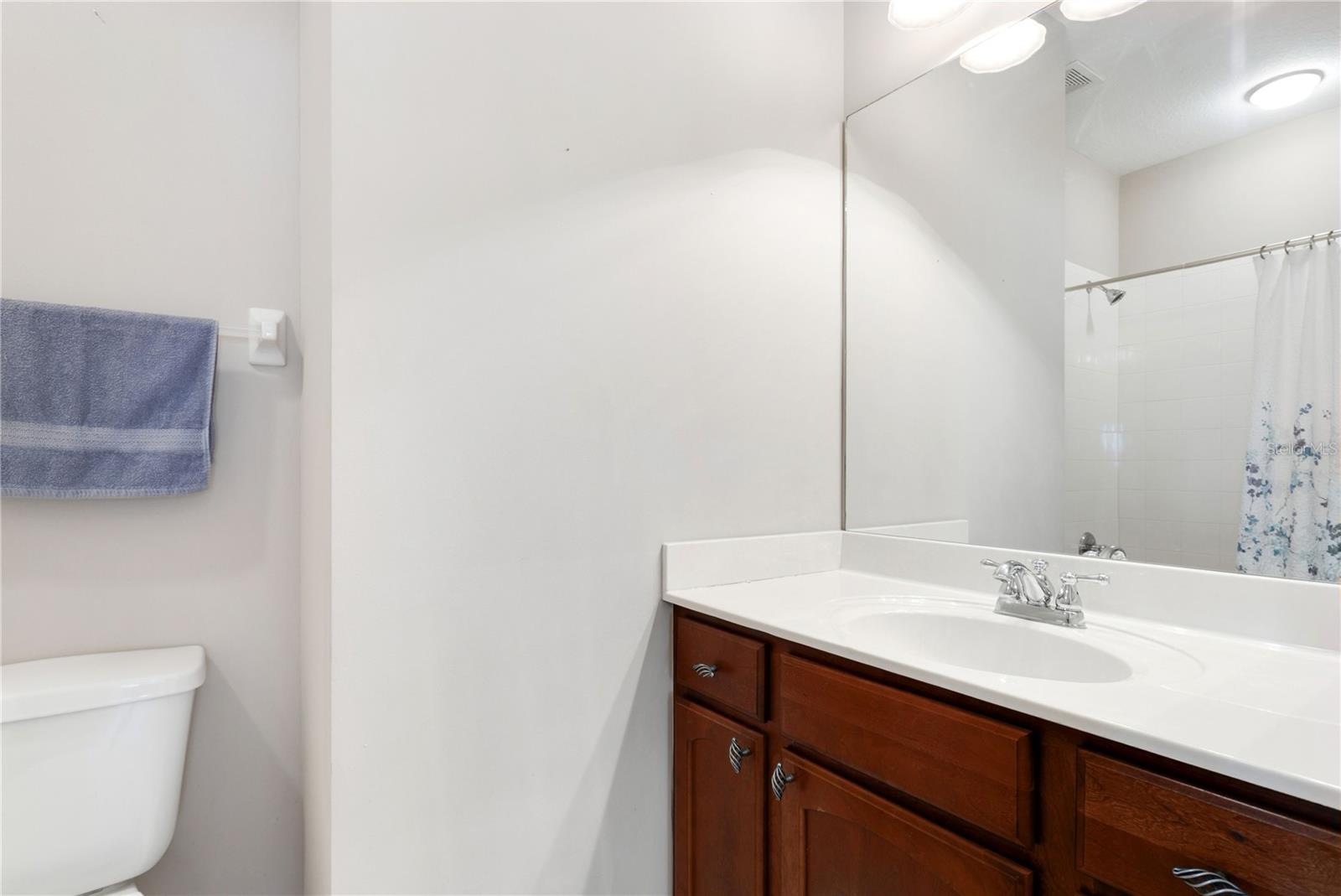 Guest bathroom