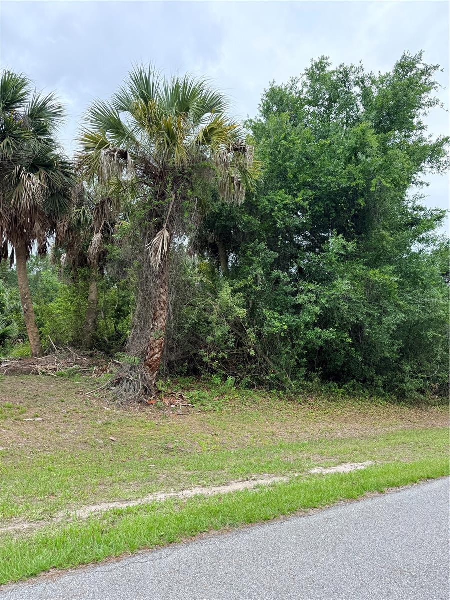 12192 Chamberlain Blvd, Port Charlotte, FL 33953 — photo 1 of 1