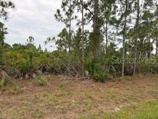 12141 Mc Elroy Ave, Port Charlotte, FL 33981 — photo 1 of 1