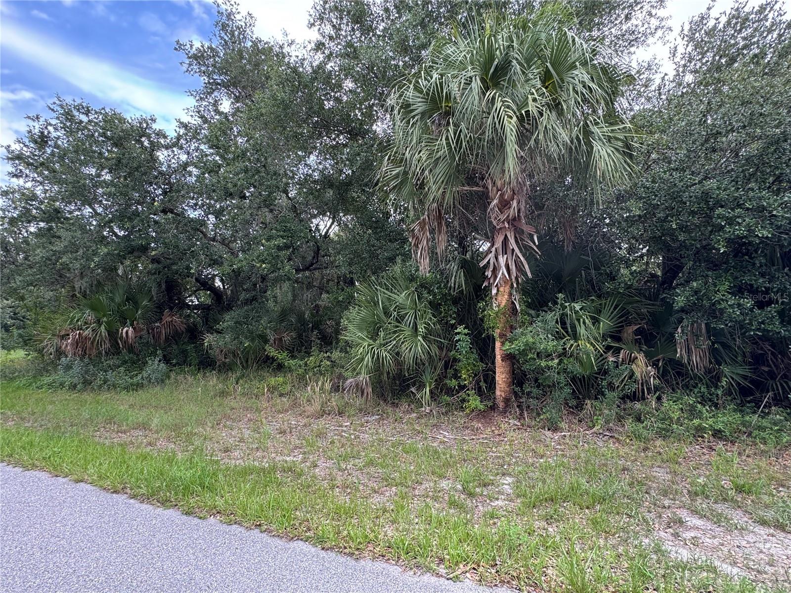 318 Leona St, Port Charlotte, FL 33954 — photo 1 of 1
