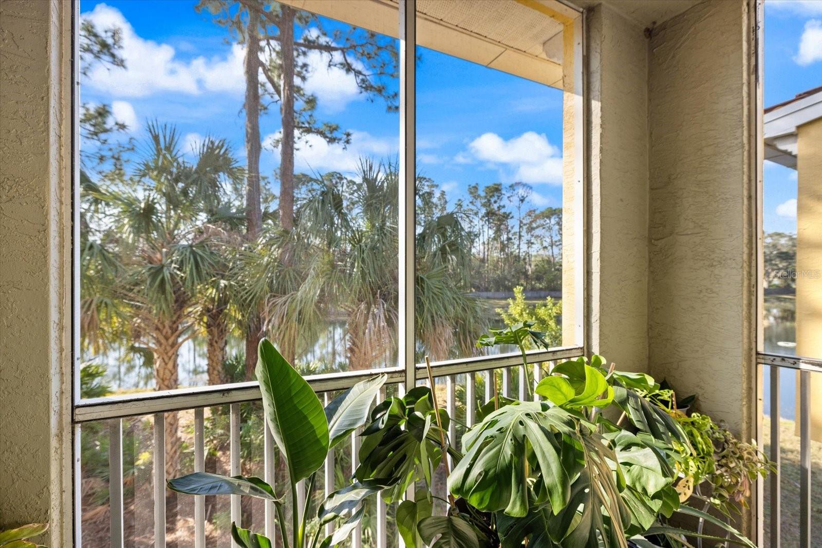5552 Bentgrass Dr #7-116, Sarasota, FL 34235 — photo 20 of 97