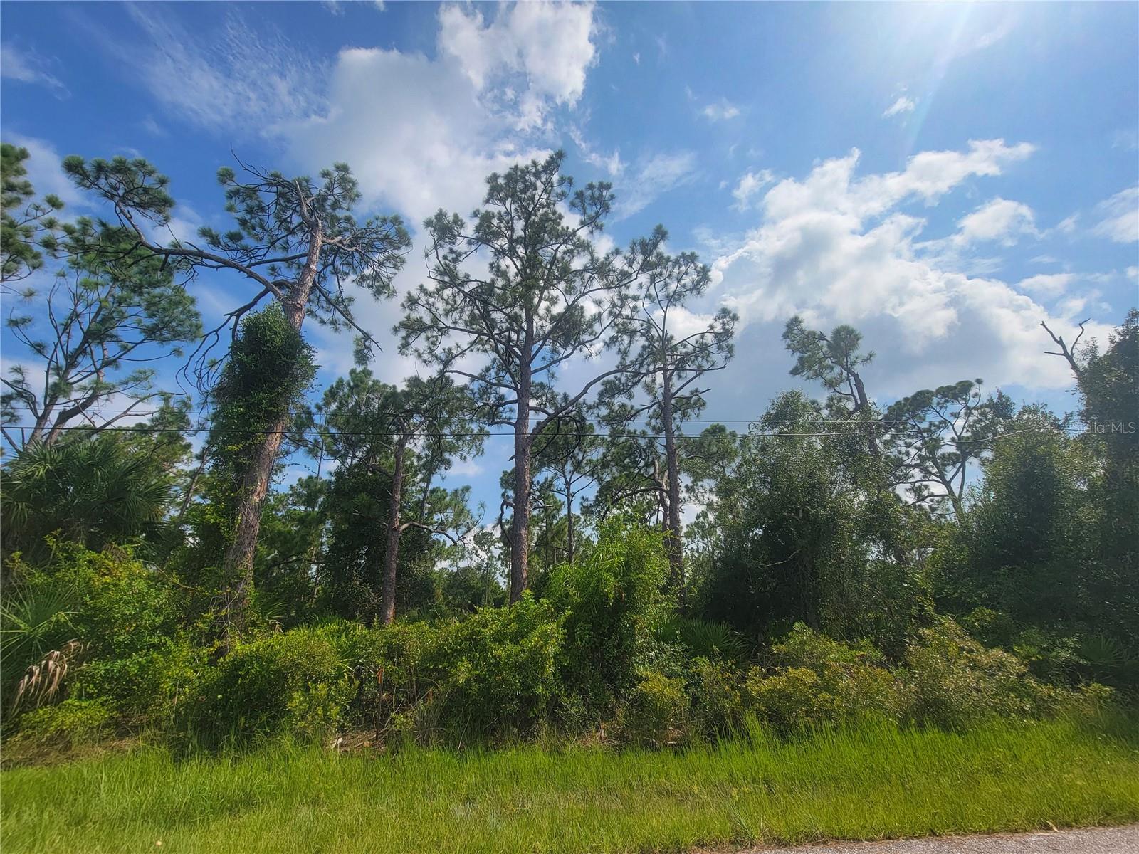 1508 Biscayne Dr, Port Charlotte, FL 33953 — photo 1 of 1