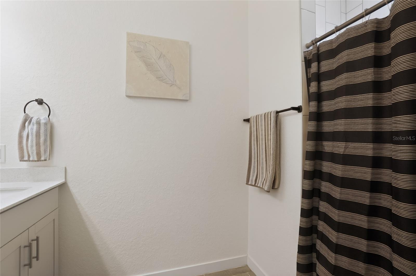 Master bath shower