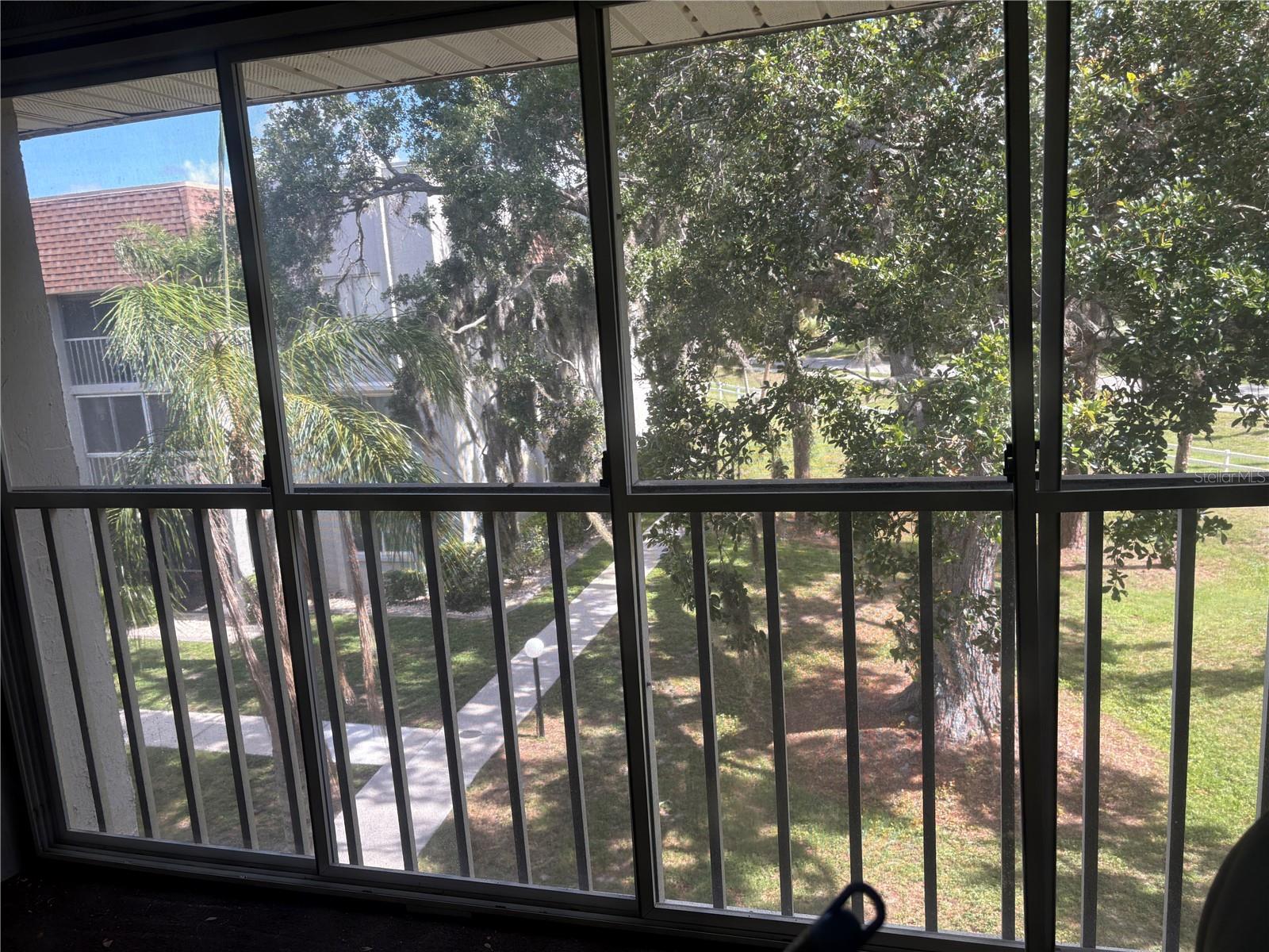 View from Lanai