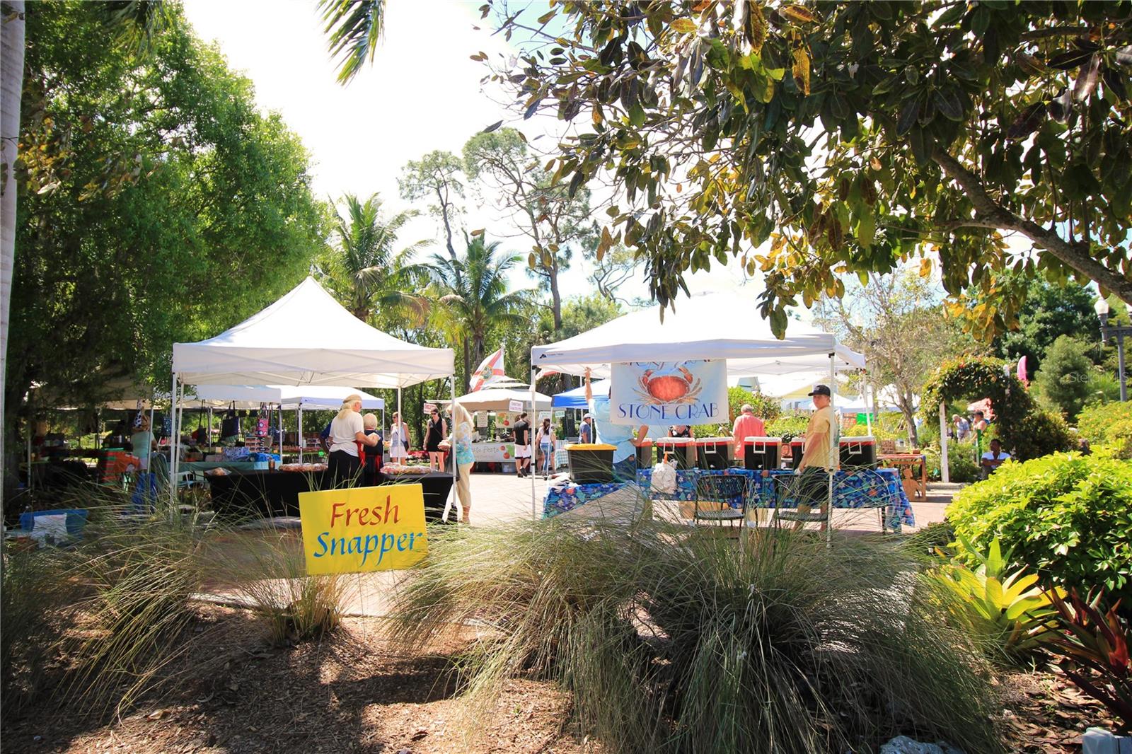 Farmer's Market