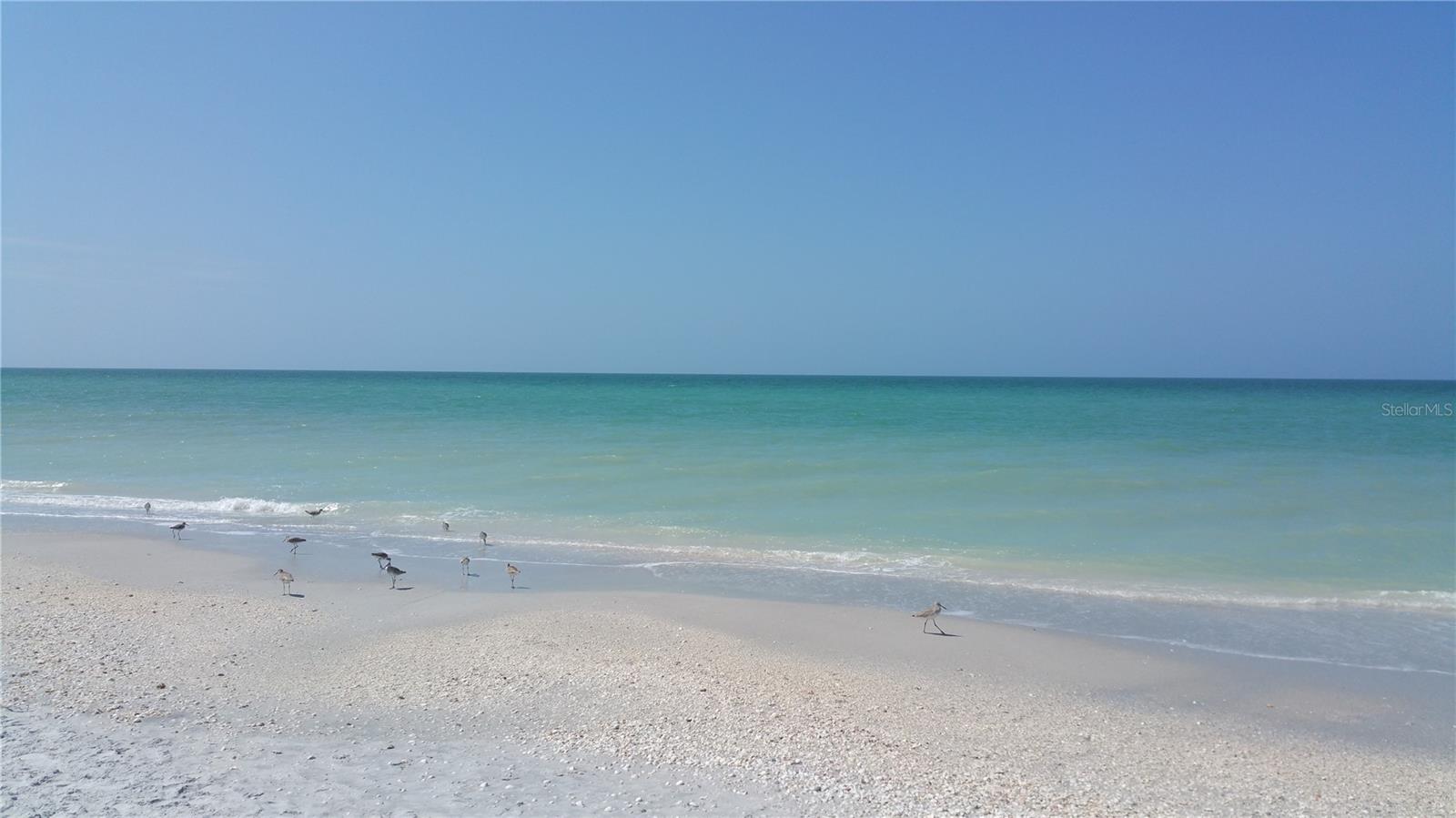 Boca Grande Beach