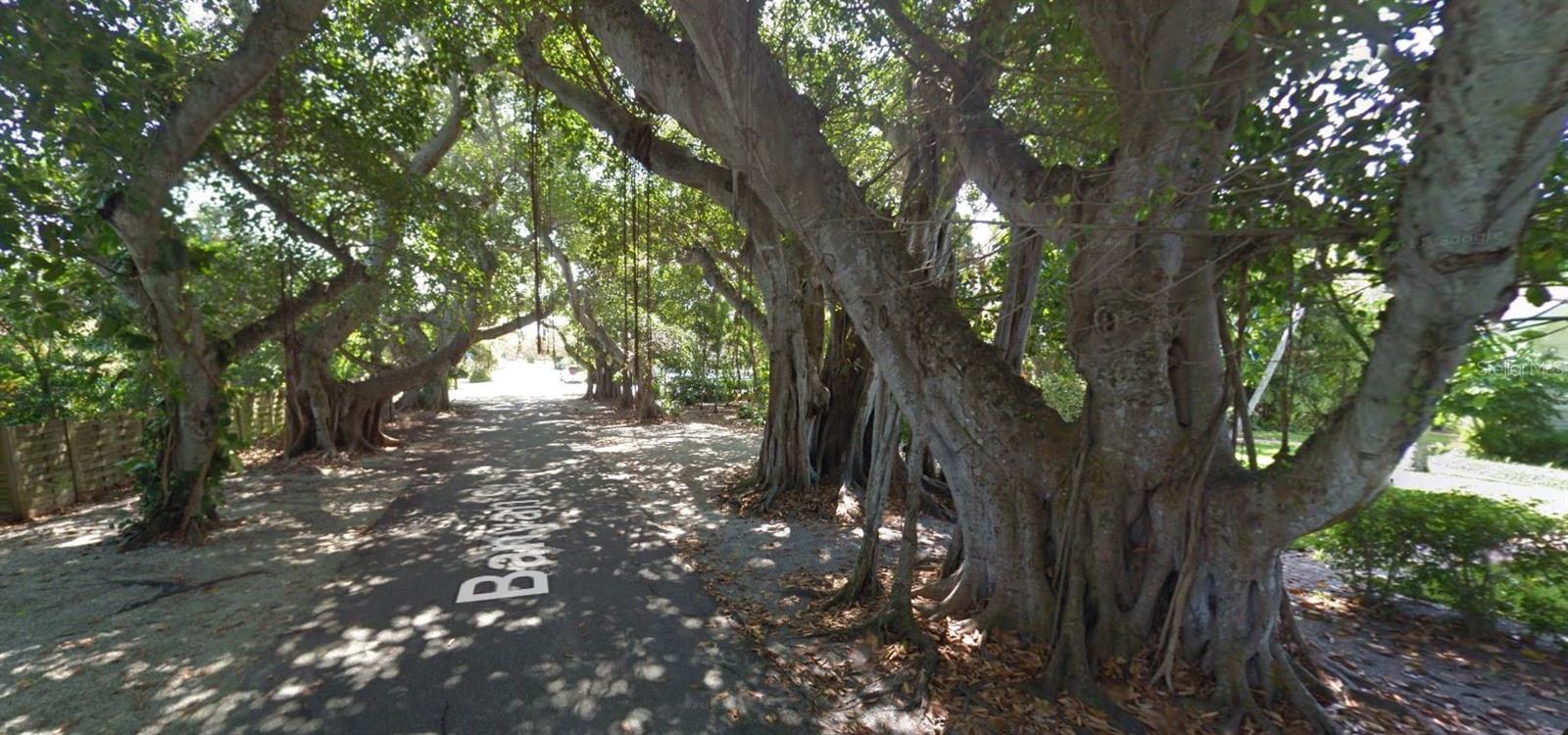 Banyan St in Boca Grande