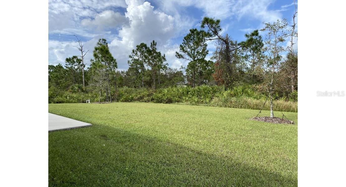 7050 Beckwith Ave, North Port, FL 34291 — photo 14 of 14