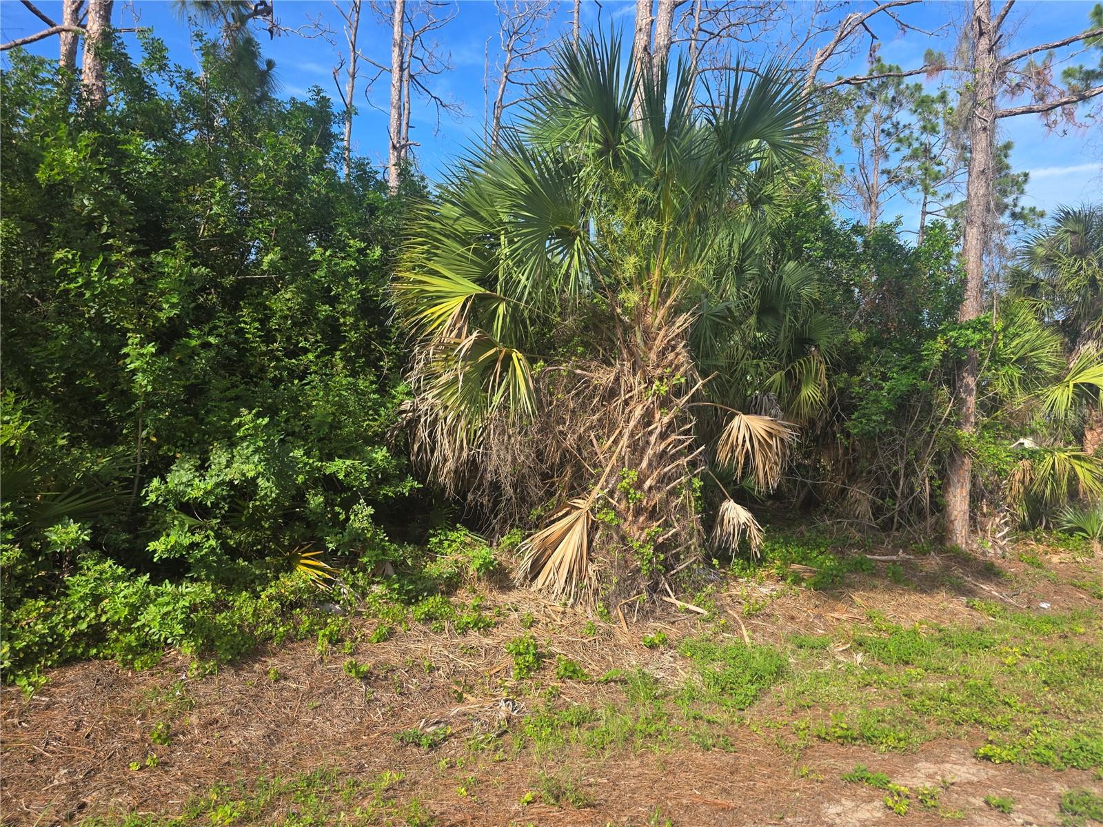 Pronto Ln, North Port, FL 34286 · MLS# C7527436 — photo 1 of 1