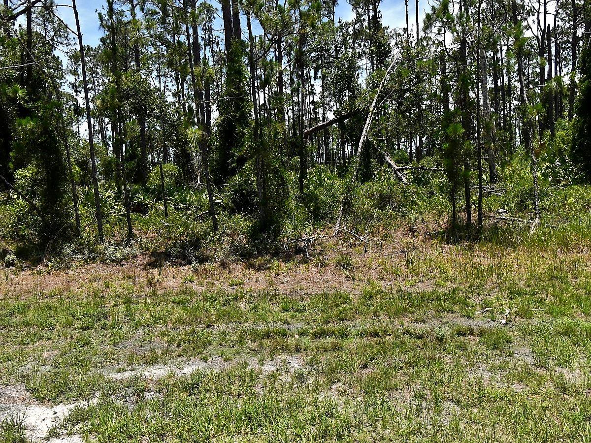 Tropicaire Blvd, North Port, FL 34291 · MLS# O6417632 — photo 1 of 1