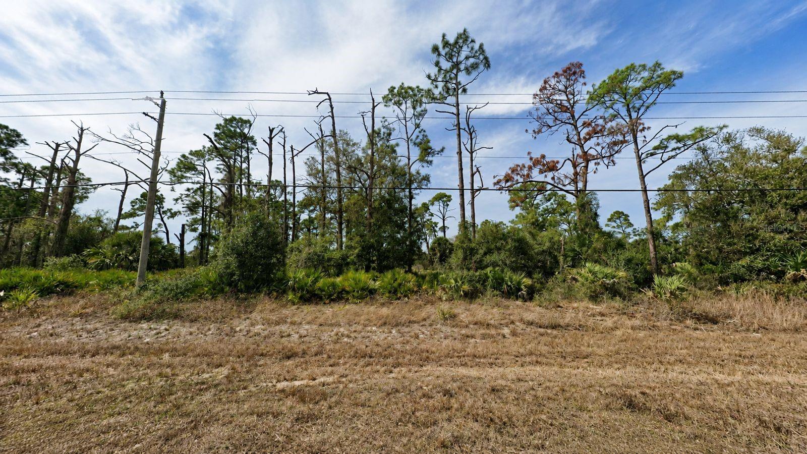 3255 Collingswood Blvd, Port Charlotte, FL 33948 — photo 1 of 1