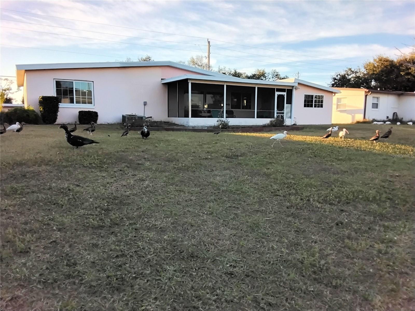 Back of house