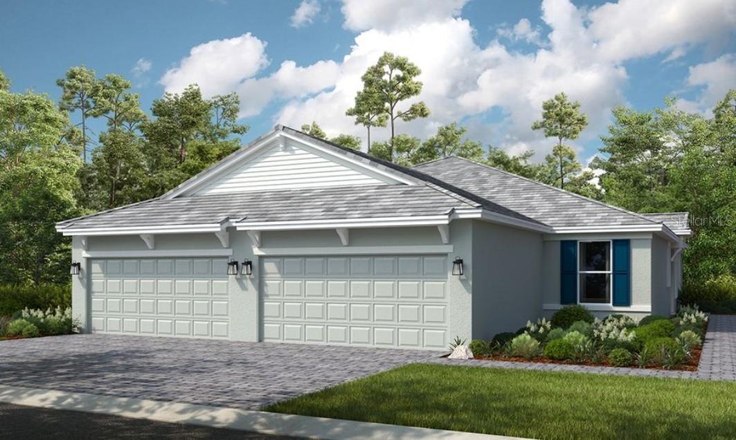 Ibis Rendering