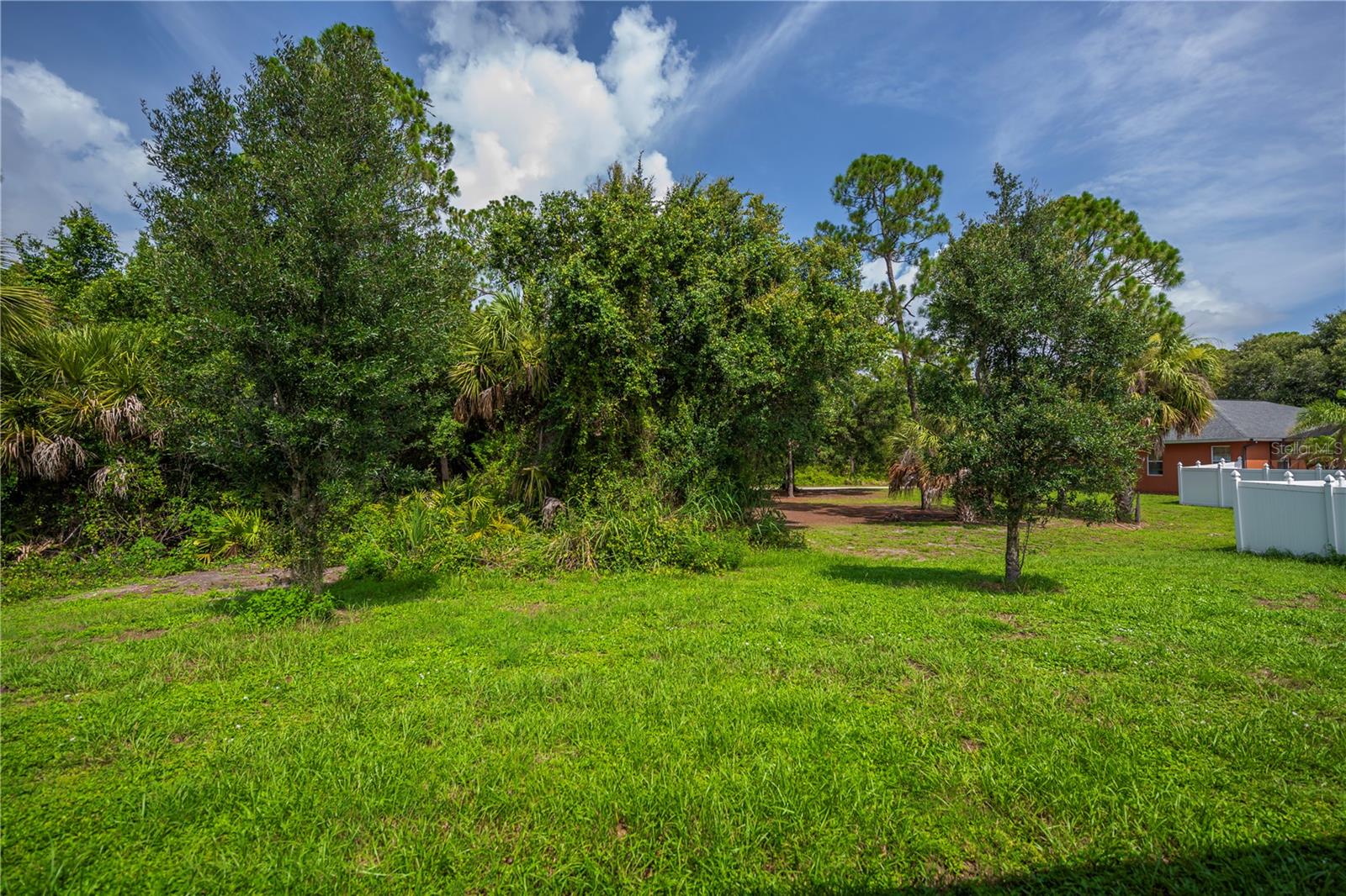 Generous Size Backyard With Mature Landscaping