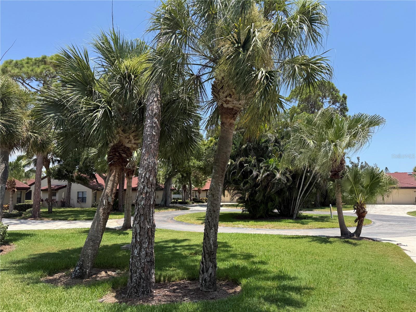 3637 Yellow Pine Ct #146, Sarasota, FL 34238 — photo 29 of 49
