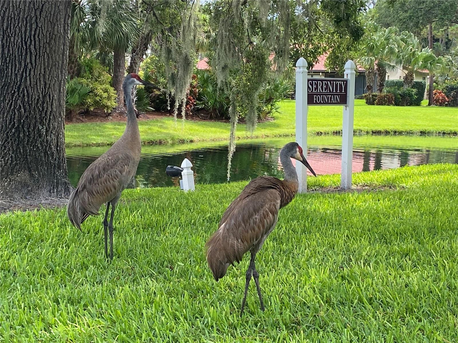 3637 Yellow Pine Ct #146, Sarasota, FL 34238 — photo 44 of 49