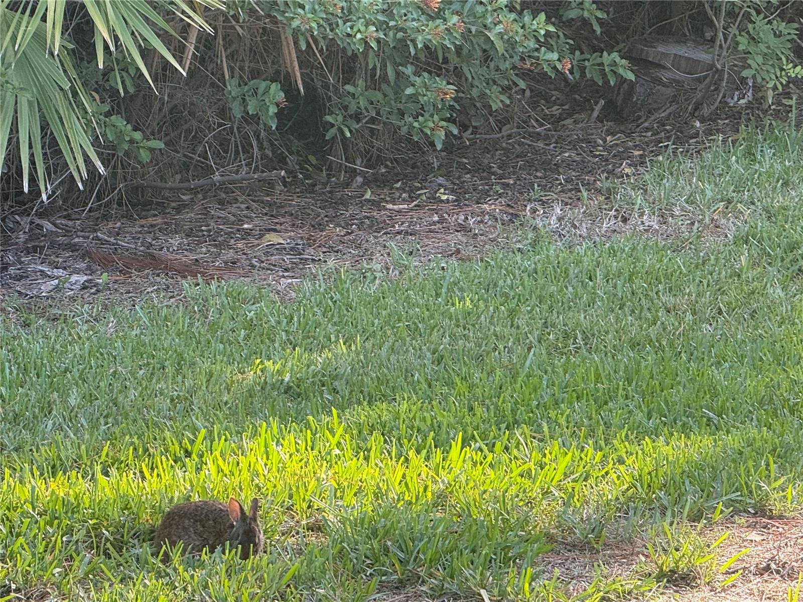 3637 Yellow Pine Ct #146, Sarasota, FL 34238 — photo 45 of 49