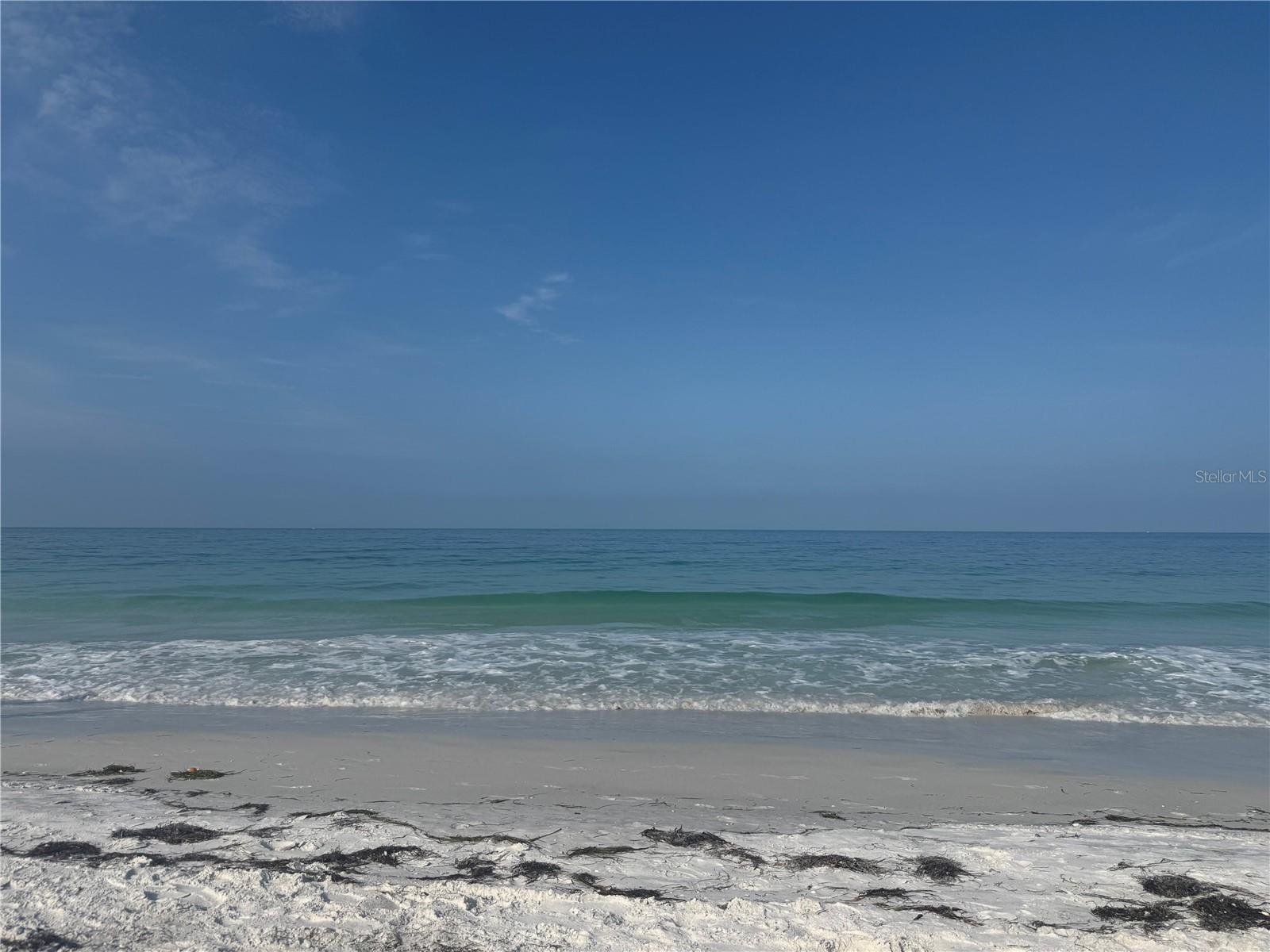 3637 Yellow Pine Ct #146, Sarasota, FL 34238 — photo 46 of 49
