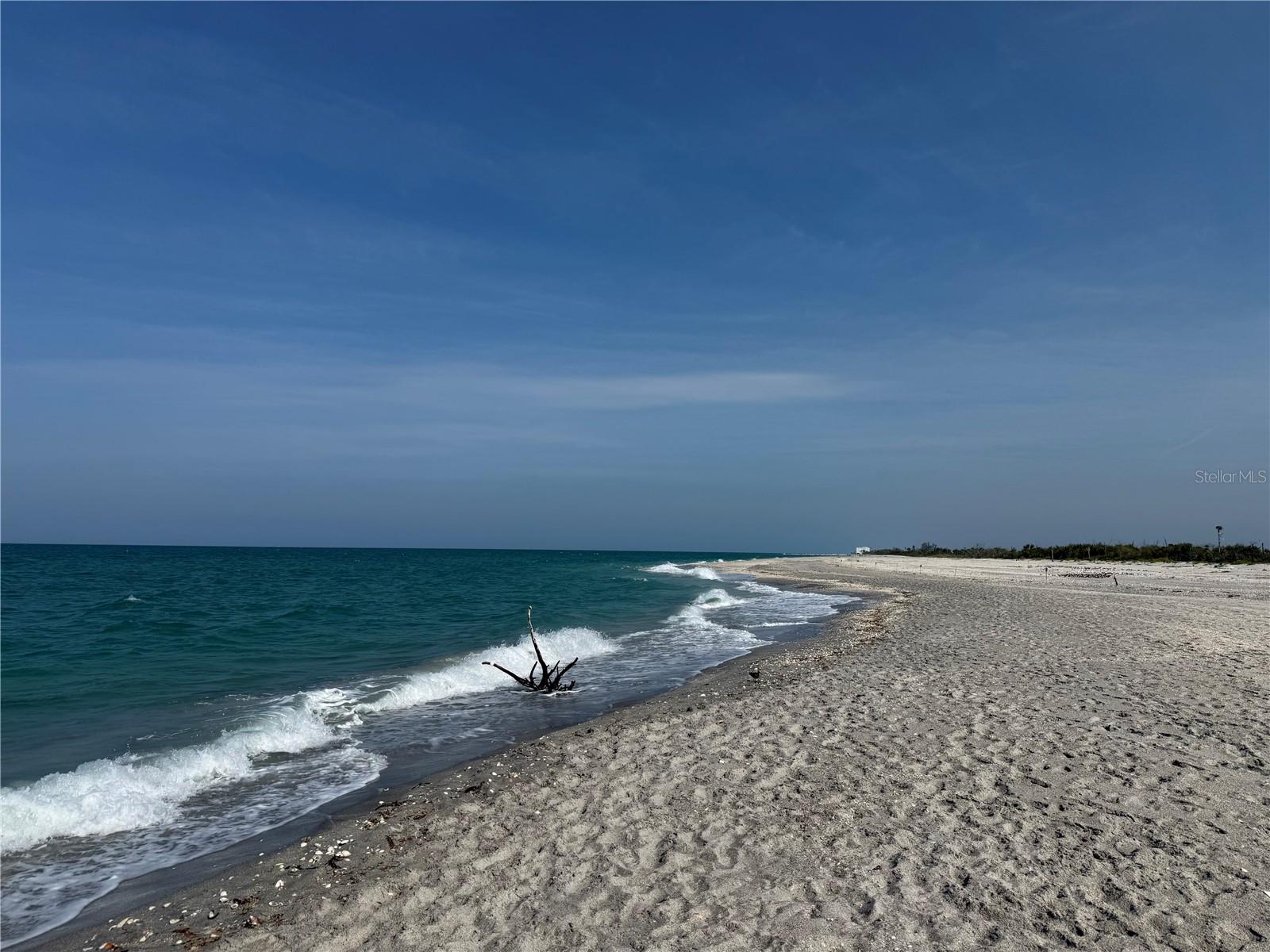3637 Yellow Pine Ct #146, Sarasota, FL 34238 — photo 47 of 49