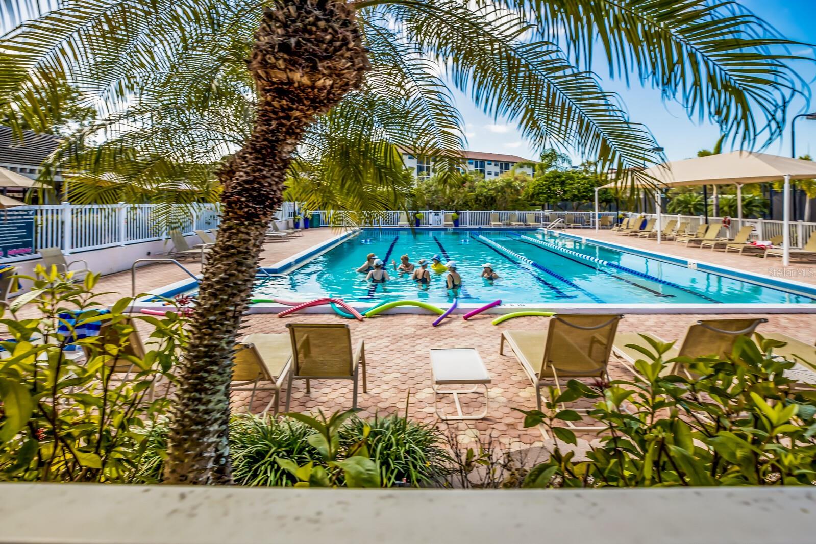 1479 Landings Cir #41, Sarasota, FL 34231 — photo 67 of 77