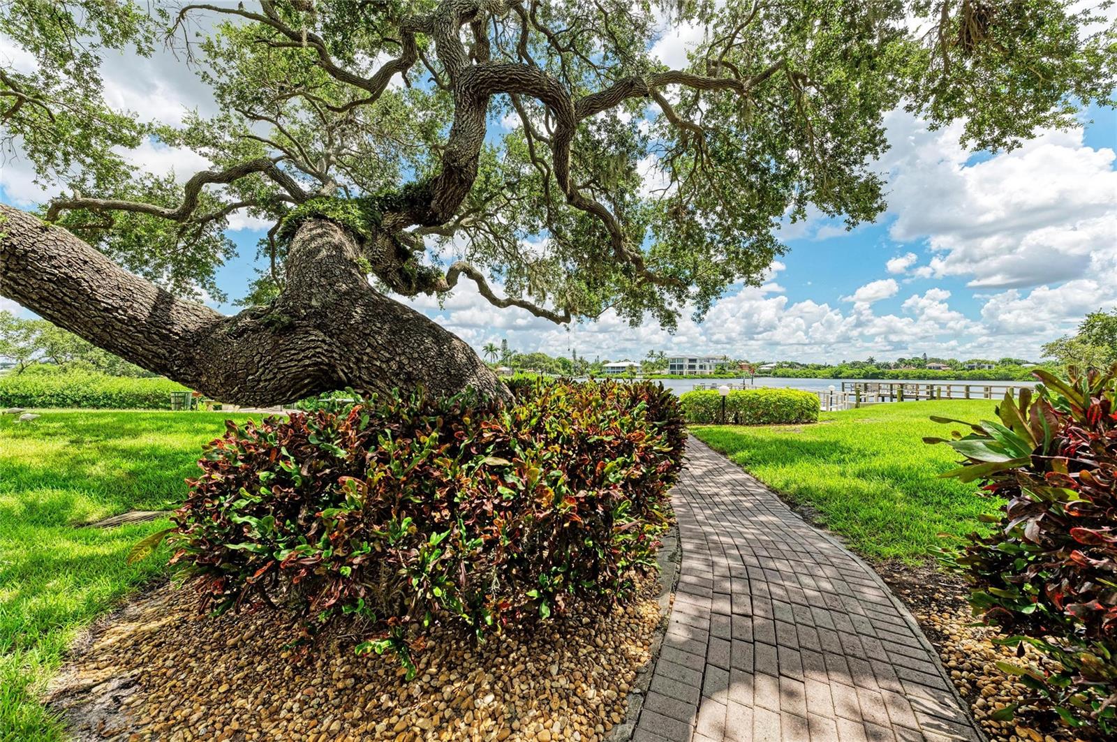 6157 Midnight Pass Rd #E12, Sarasota, FL 34242 — photo 40 of 88