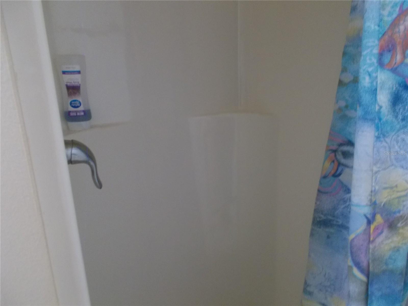 Bathroom #2 Shower