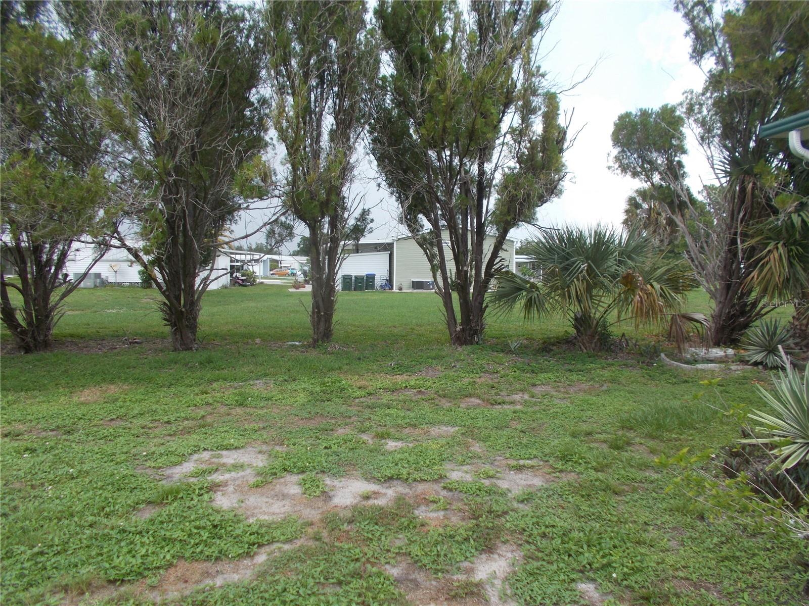 Back Yard