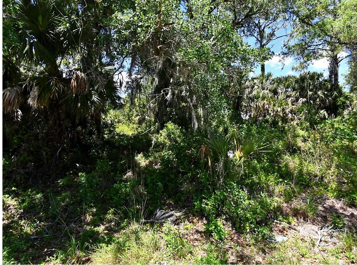 Jade St, North Port, FL 34288 · MLS# TB8526945 — photo 1 of 1