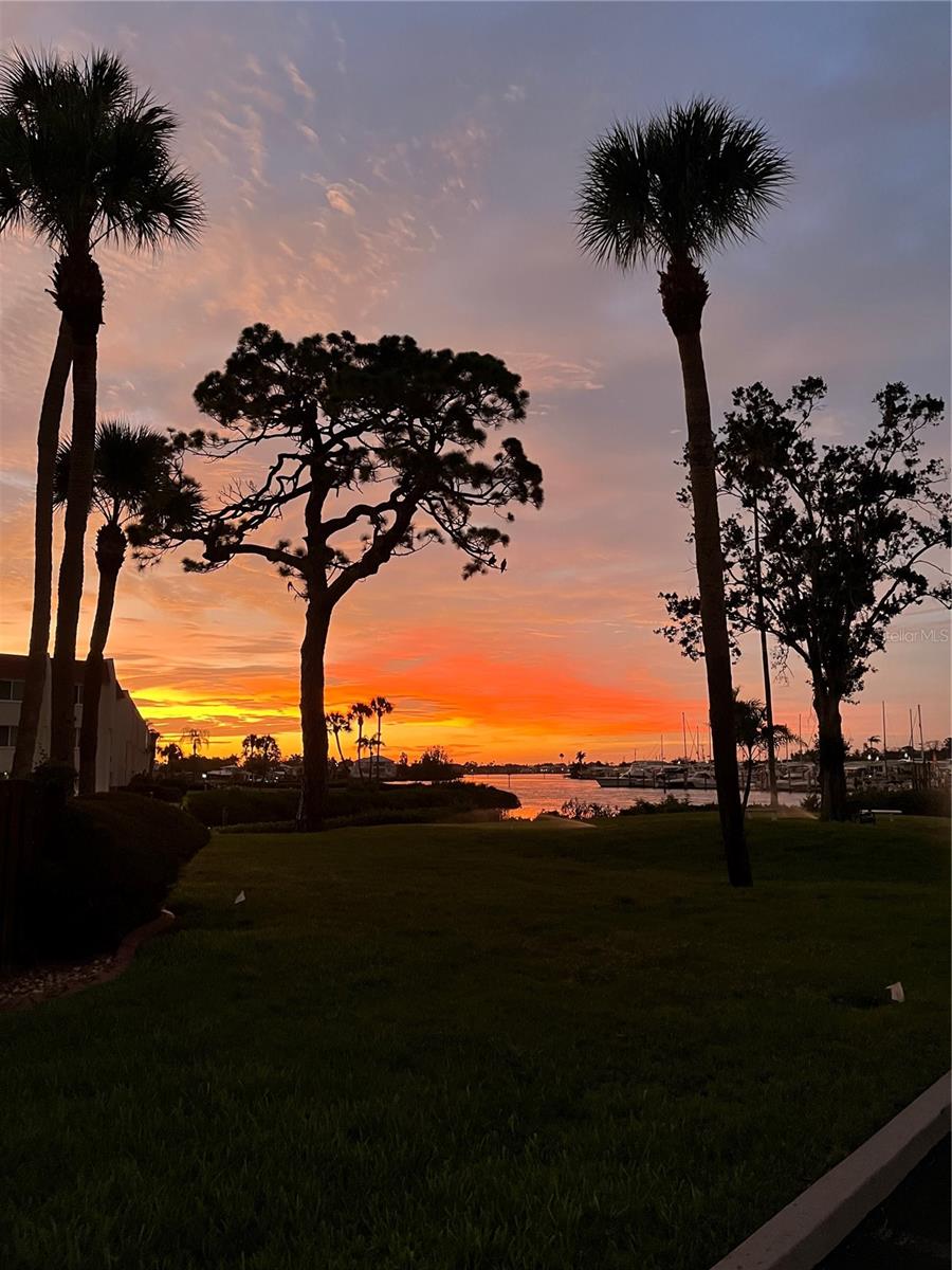 220 Santa Maria St #338, Venice, FL 34285 — photo 45 of 48